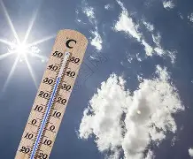 关于热传：约基奇首轮对皇社确定将的信息|免费试玩电子